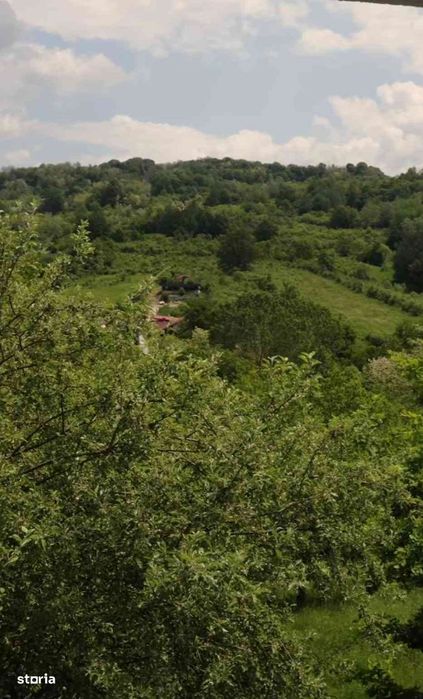 Teren 31.508 mp + Casă! 295.000 E Com. Golești, Sat Opătești, Vâlcea.