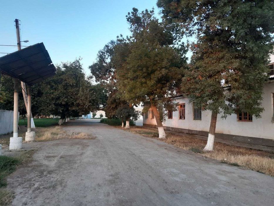 Тайёр ишлаб турган ишлаб чикариш. Бешкентда