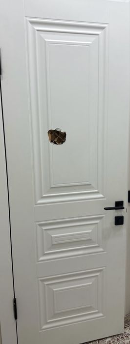 Дверь межкомнытный