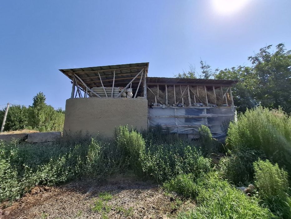 UY sotiladi yer maydoni umumiy 16 sotix ne jiloy ekin uchun 8 sotix