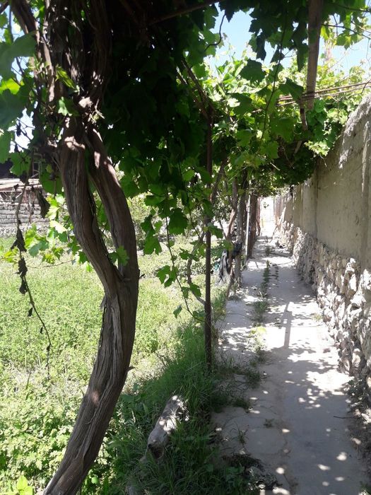 Когон Шахар maydon 9,5 сотих ховли 43000 $