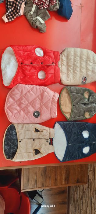 Сабаки и кошки одежда