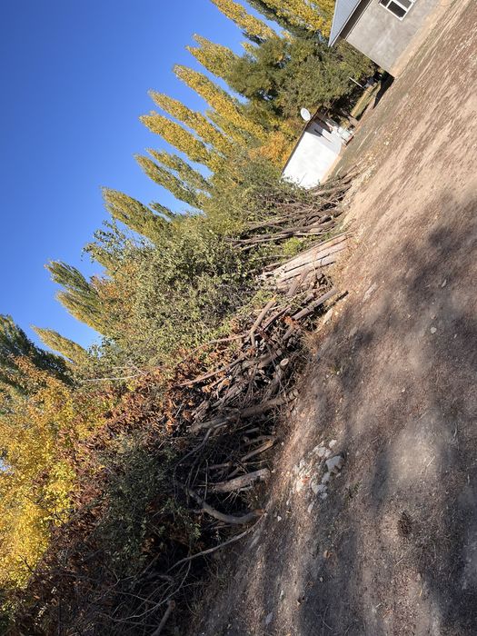 Ағаш отынға ……….