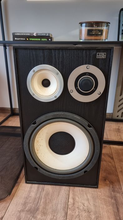 Тонколони scan sound 10"