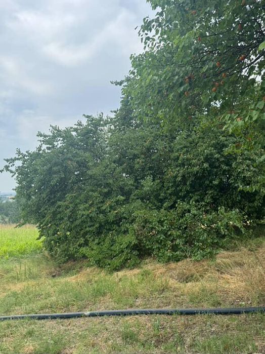 2 .5 gektar boğ baliq hovuzi ham bor