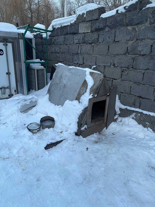 Будка для большой собаки