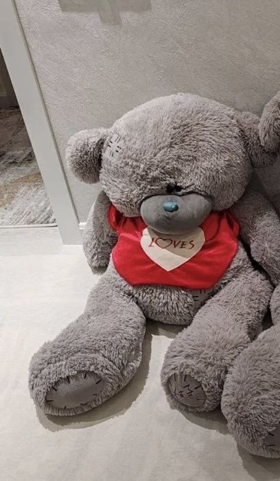 Teddy ayiq holati yaxshi