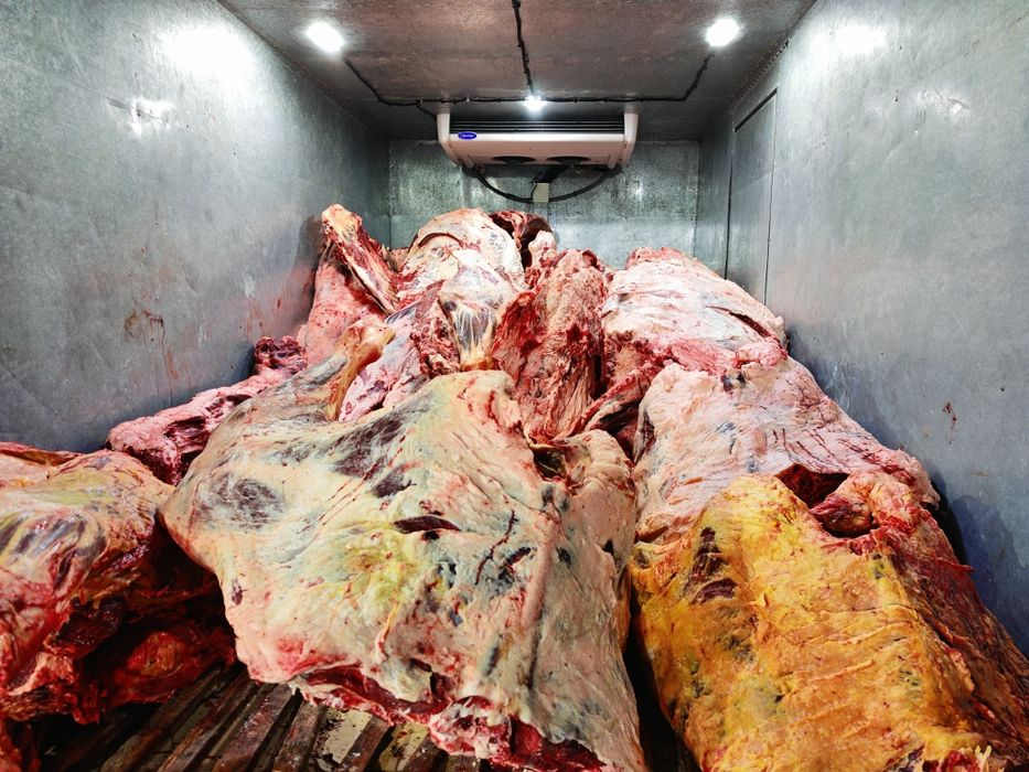 Мясо говядины конины