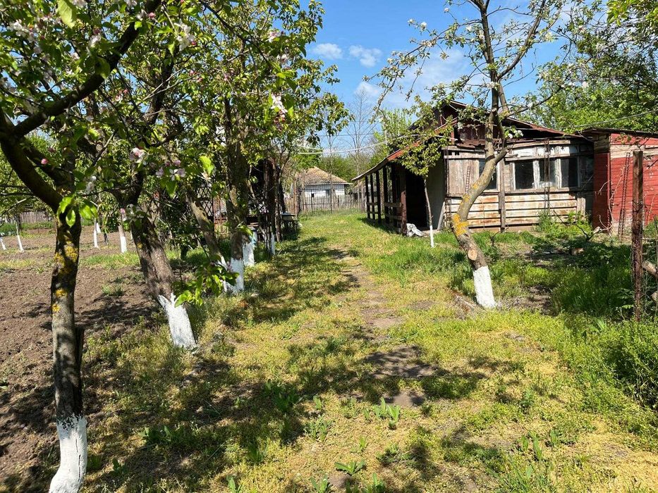 Casa + teren intravilan Sat Infratirea, Com Dor Marunt, Jud Calarasi