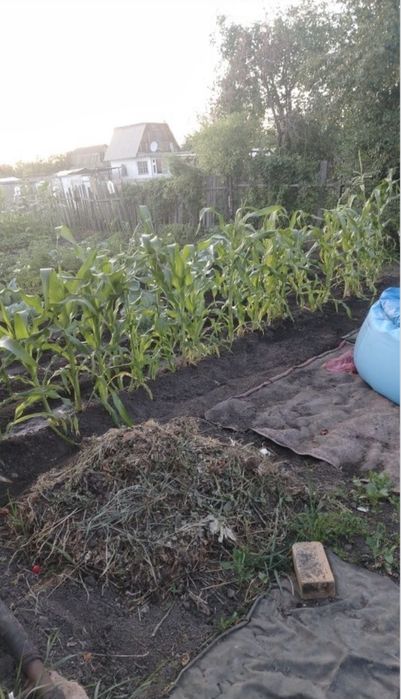 Продается дача. Д/О Черемушки