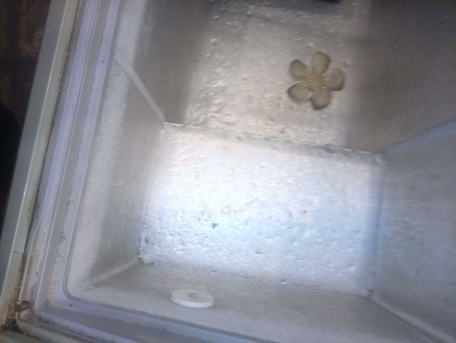 Маразилка  сотилади