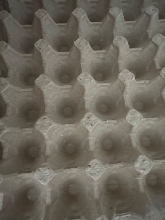Продам ячейки для яиц