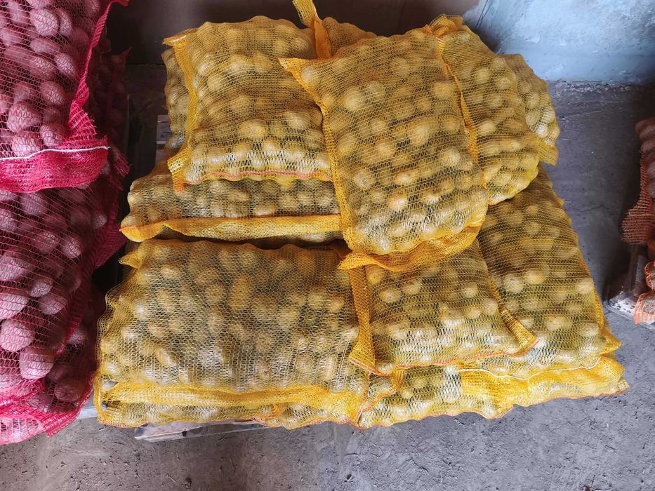 Vând cartofi sămânță