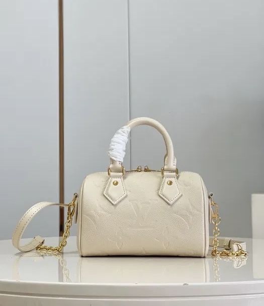 Louis Vuitton Speedy 20