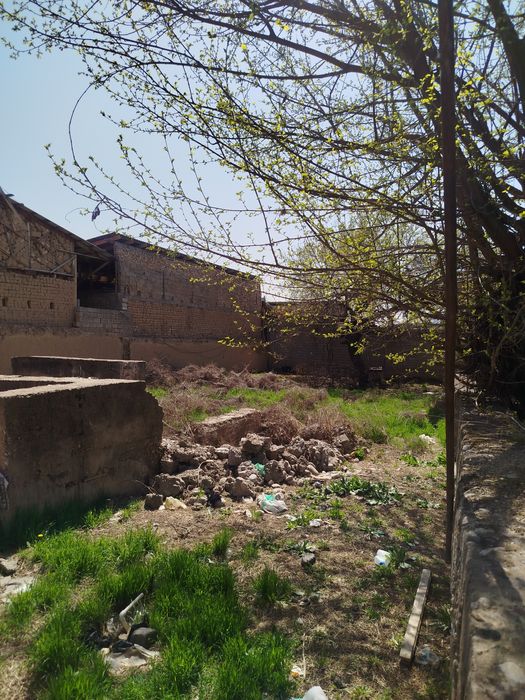 Nazarbek tarnov 5 soʻtix