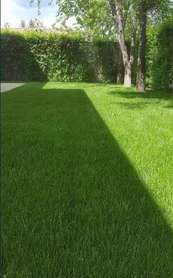 Gazon rulou sisteme de irigații