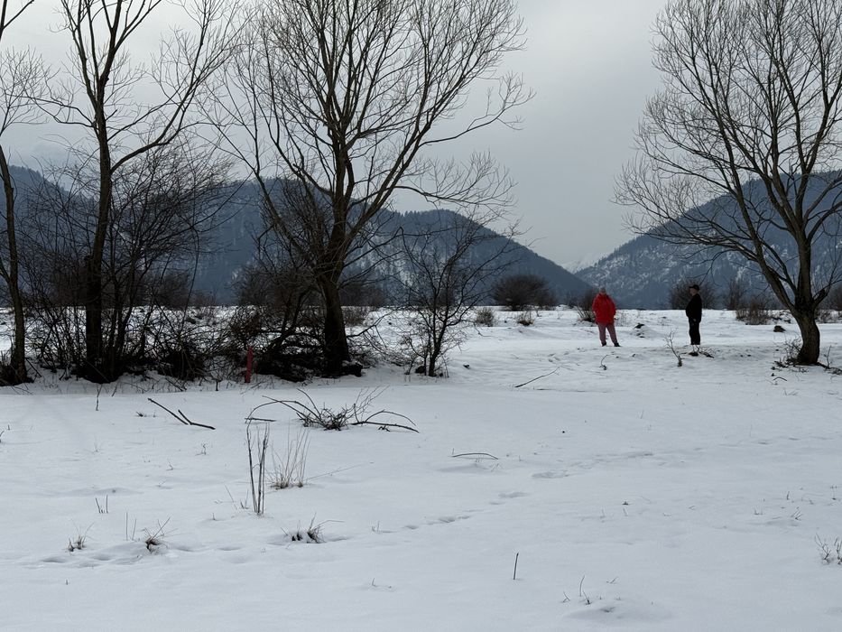 Vand teren intravilan zarnesti