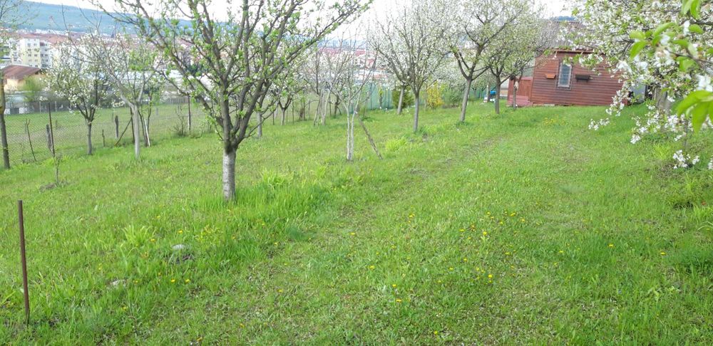 vand teren  intravilan  in centrul loc. Floresti