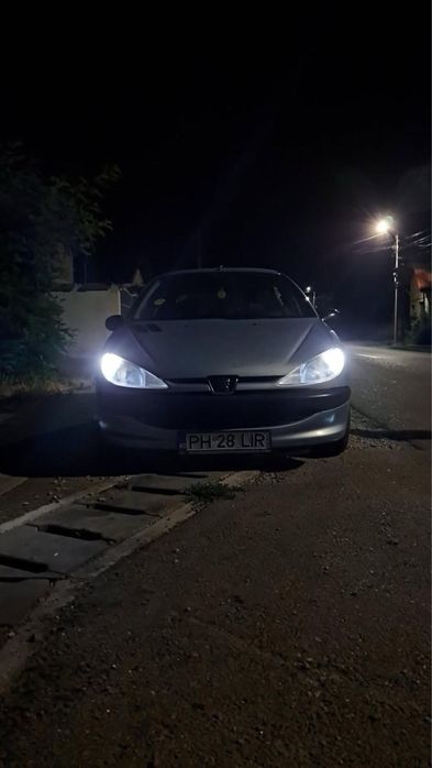 Schimb peugeot 206