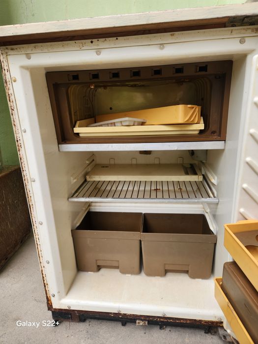 Holodelnik zudlik bilan sotiladi