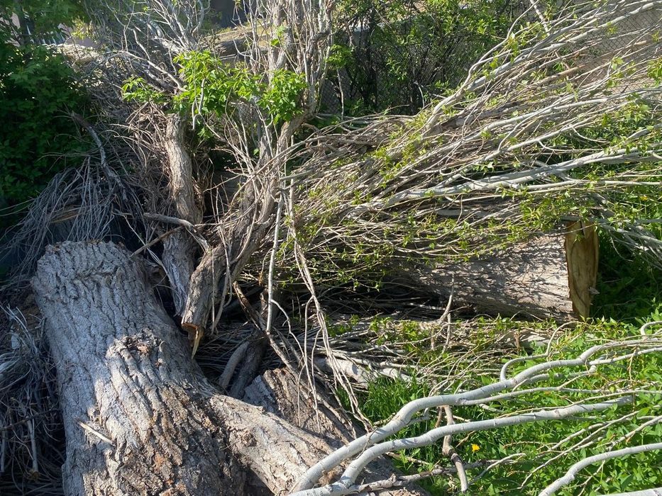 Отдам даром дрова