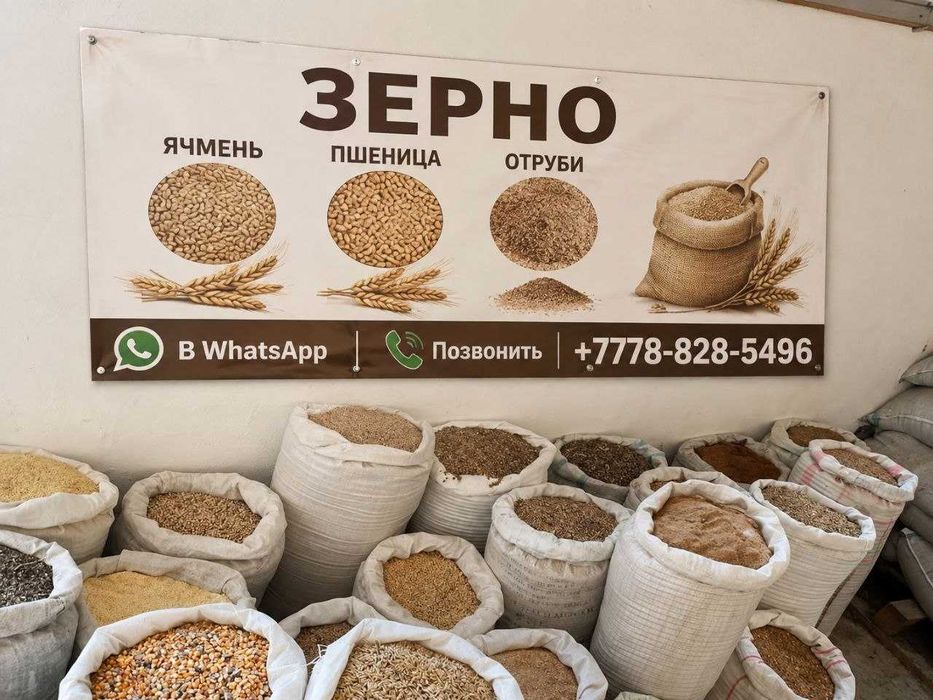 продам ячмень кукуруза yq