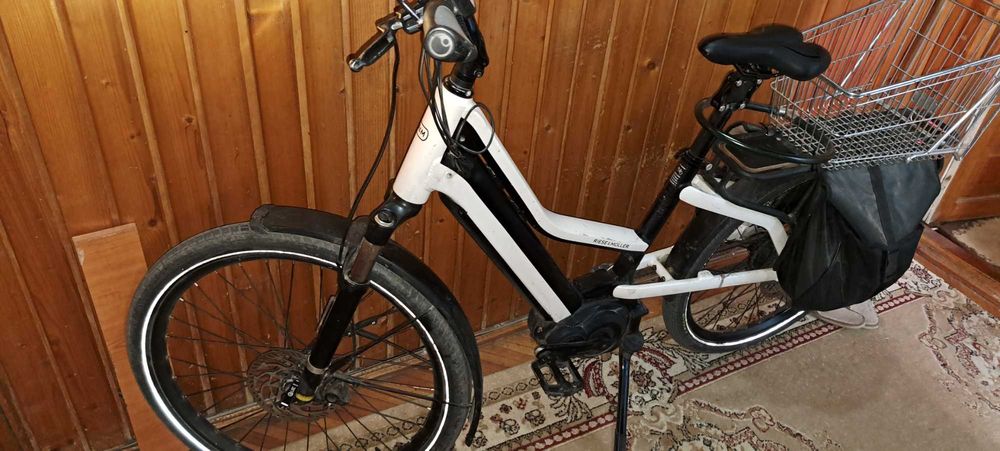 Bicicleta electrica Riese Muller
