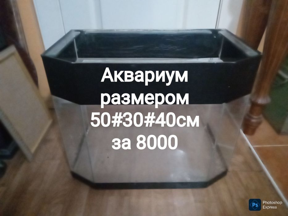 Разные аквариумы . Распродажа
