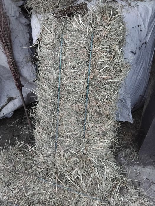 Baloti fan 100buc.calitatea1 tinuti in fanar.