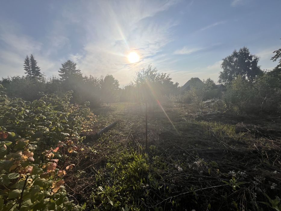 Дачный участок с домиком