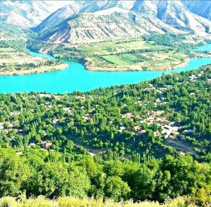 Дача Бустонлик район  8 сотих +1 Срочно!!