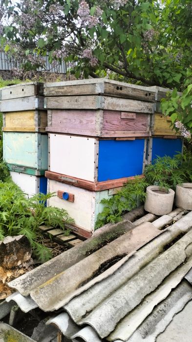 Продам ульи для пчел