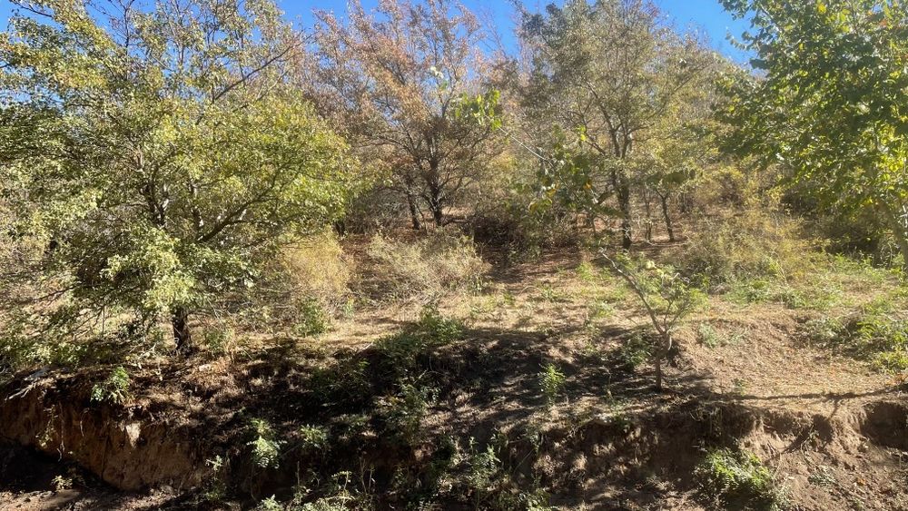 Продам участок в кыргауылды