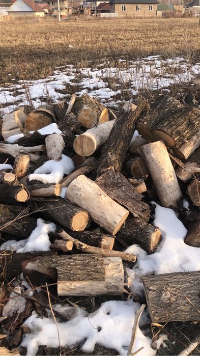 Дрова для шашлыка и бани