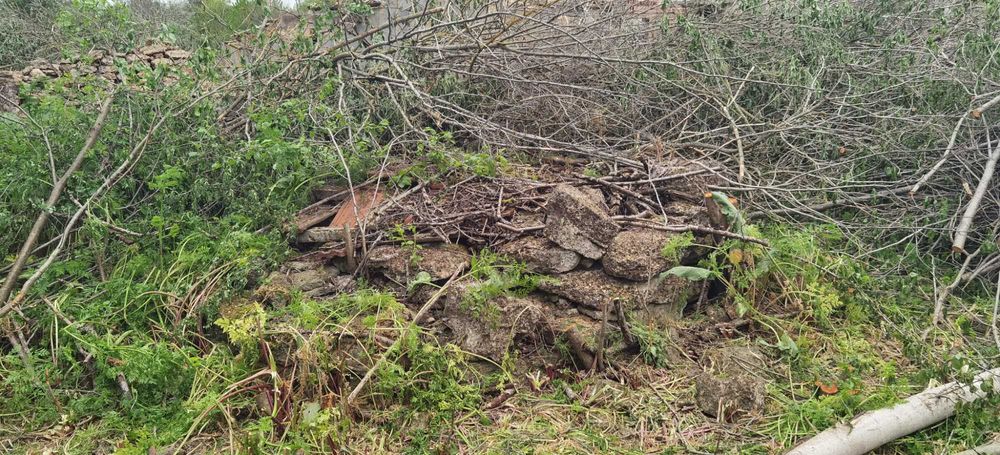 Продава се Парцел в Каварна - 2700 кв.м за 18 €/кв.м - Снимка #4