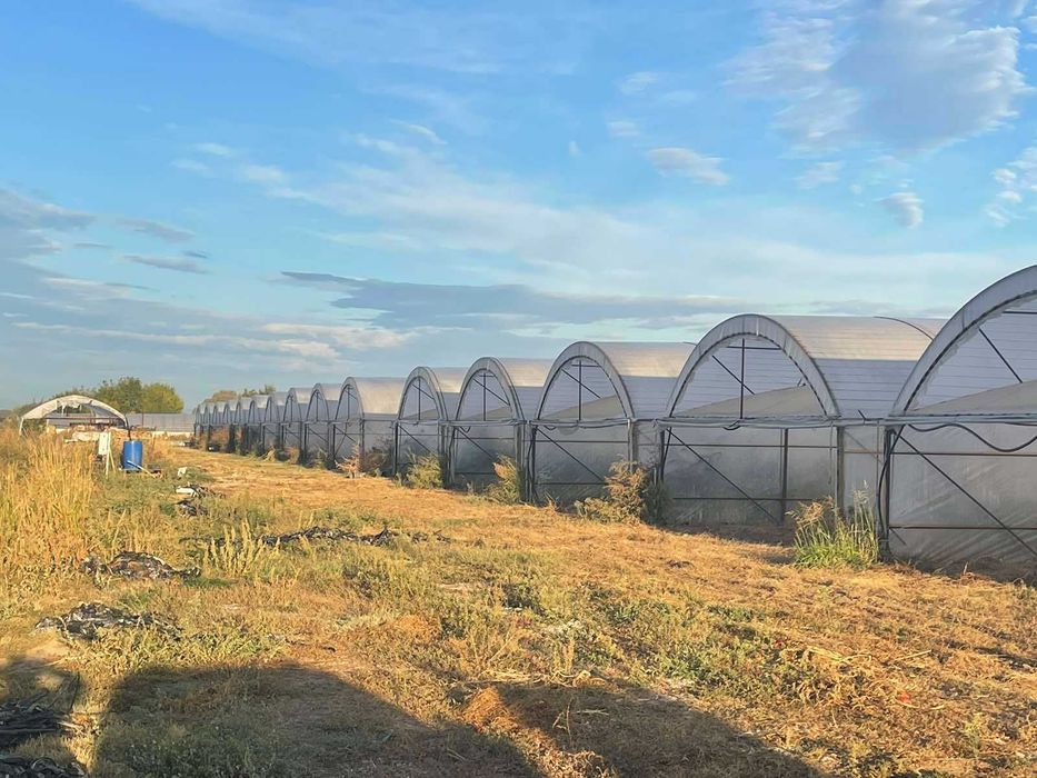 Продава се Земеделски имот в с. Триводици, Област Пловдив -  кв.м за 16490 €/дка - Снимка #1