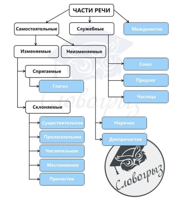 Репетитор по русскому языку для абитуриентов/ Rus tili repetitor