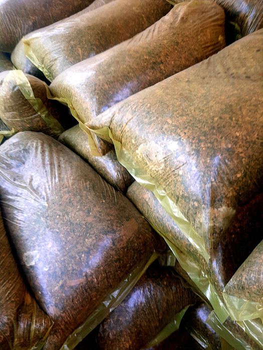 Selos sotiladi narxlari xamyonbop  donli