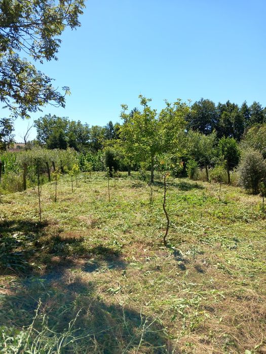 Casa de vânzare cu teren în Plopis