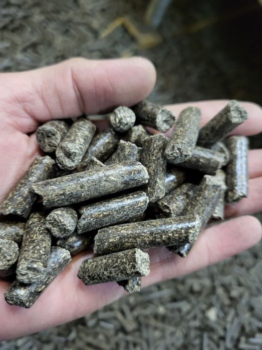 Продам шрот подсолнечника