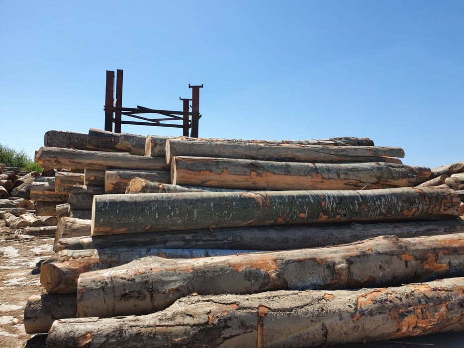 Lemne de foc de vanzare