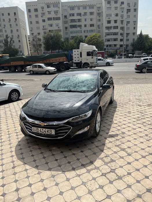 Malibu 2 Primier 2022