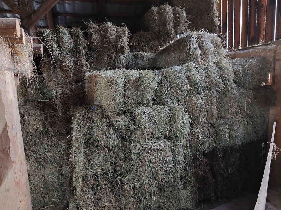 Baloti de otava cu lucerna