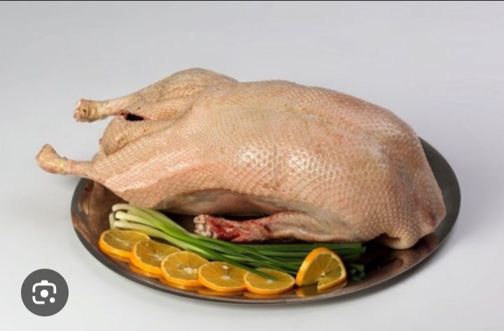 Мясо утки бройлера фото Мясо утки бройлера фото