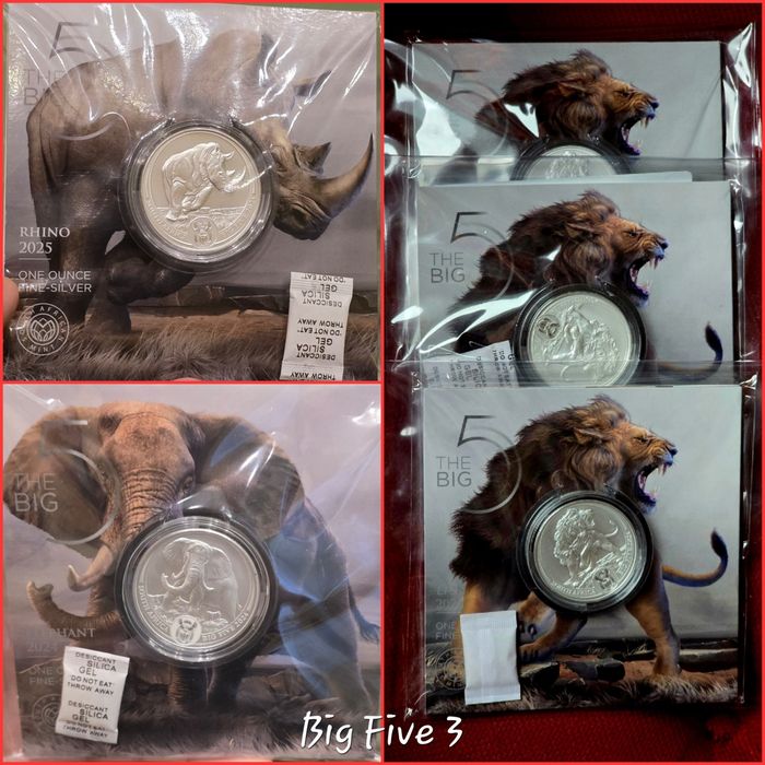 Africa de Sud Big 5 Five I, II si III monede lingou argint pur 999