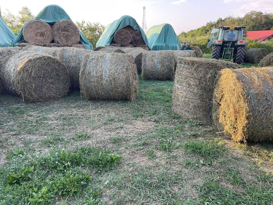 Baloti lucerna eco uscata sau infoliatia (semifân) pret/kg
