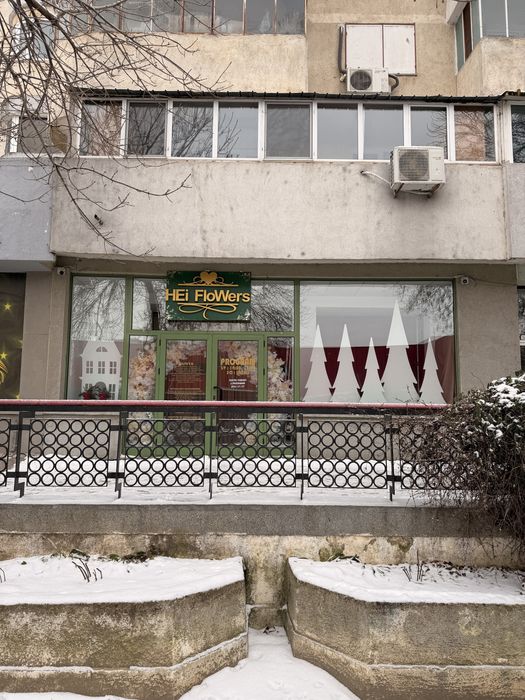 De Inchiriat Spatiu Comercial