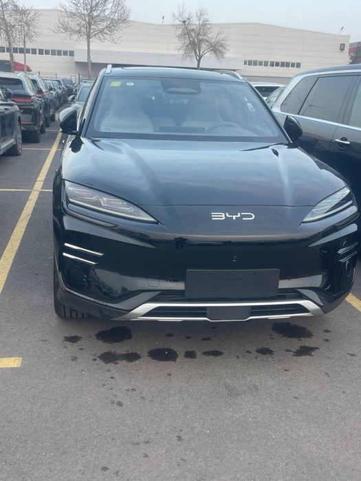 BYD Song Plus EV Champion 2025 — 3