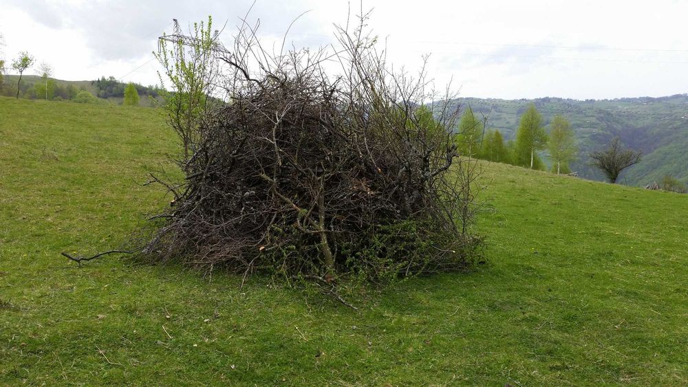 Teren intravilan pe Valea Sebesului, Sugag-Dobra, Sat-Musetoaia