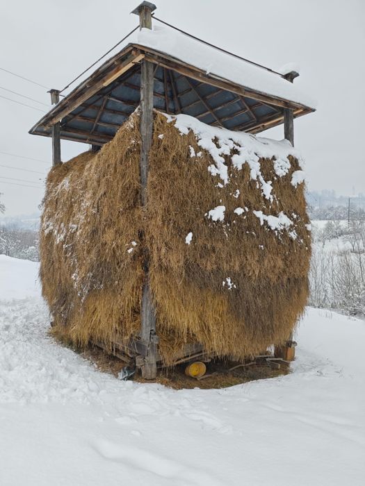 Fân și otavă de vânzare